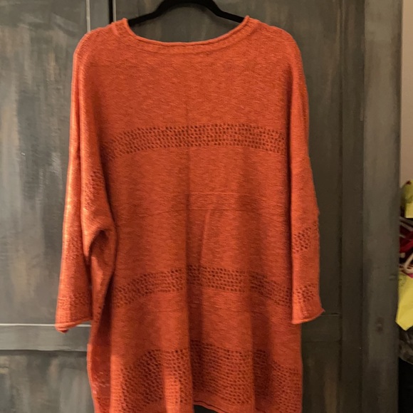 Terra Sky, Rust Sweater 3X, NWOT, non-smoker, right above knee length - Picture 4 of 4